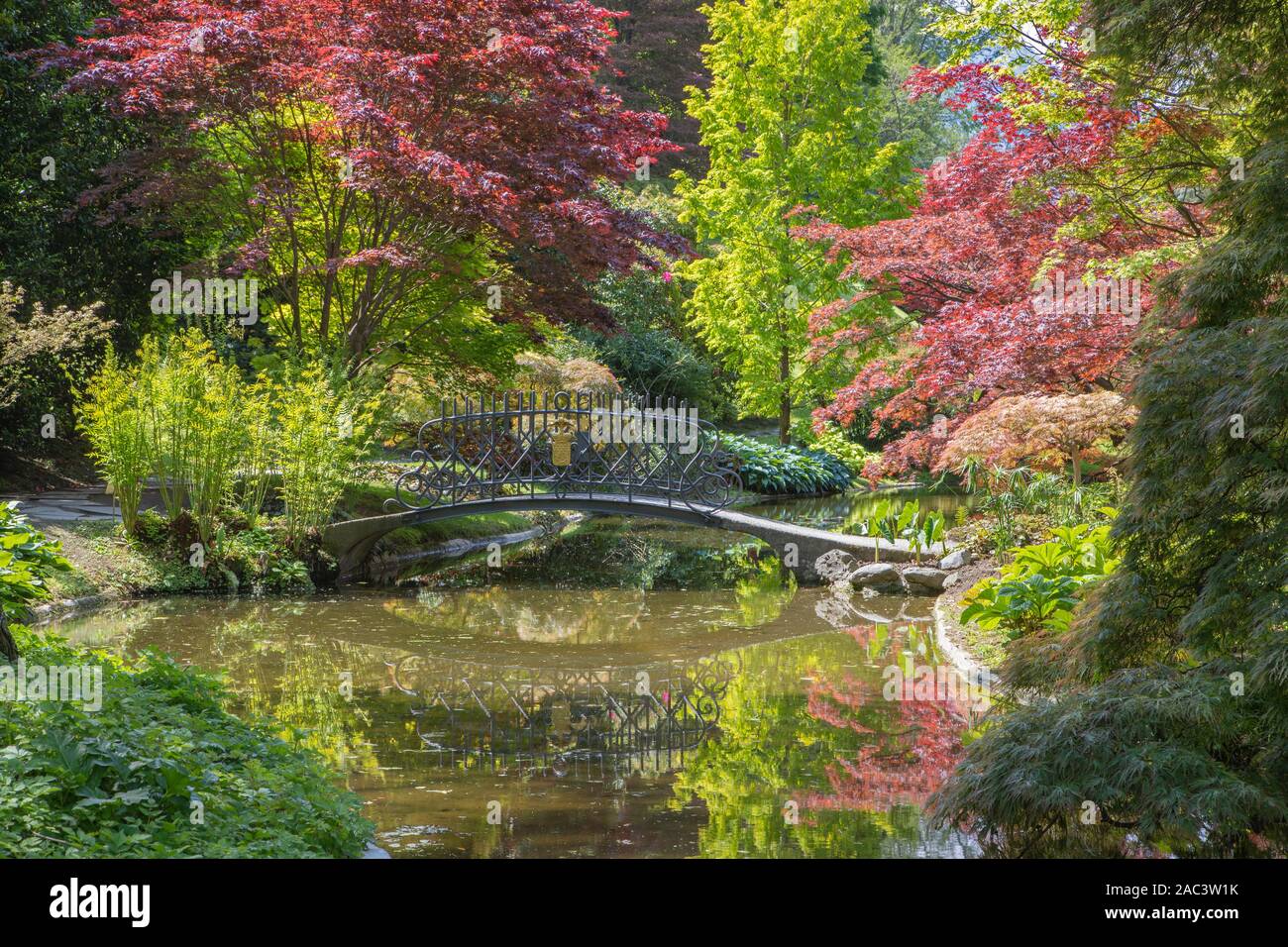 BELAGGIO, ITALY - MAY 10, 2015: The gardens of Villa Melzi. Stock Photo