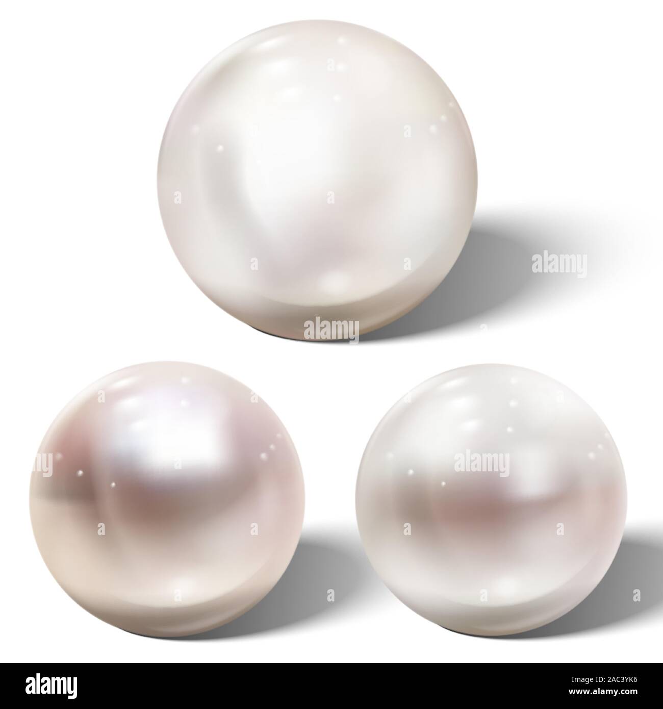 Shell Pearl Color Pink pearl shell Stock Vector Images - Alamy