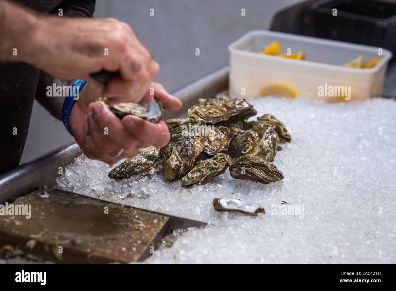 Pyster Shells Scotland Oyster shell garden hi-res stock photography and images - Alamy