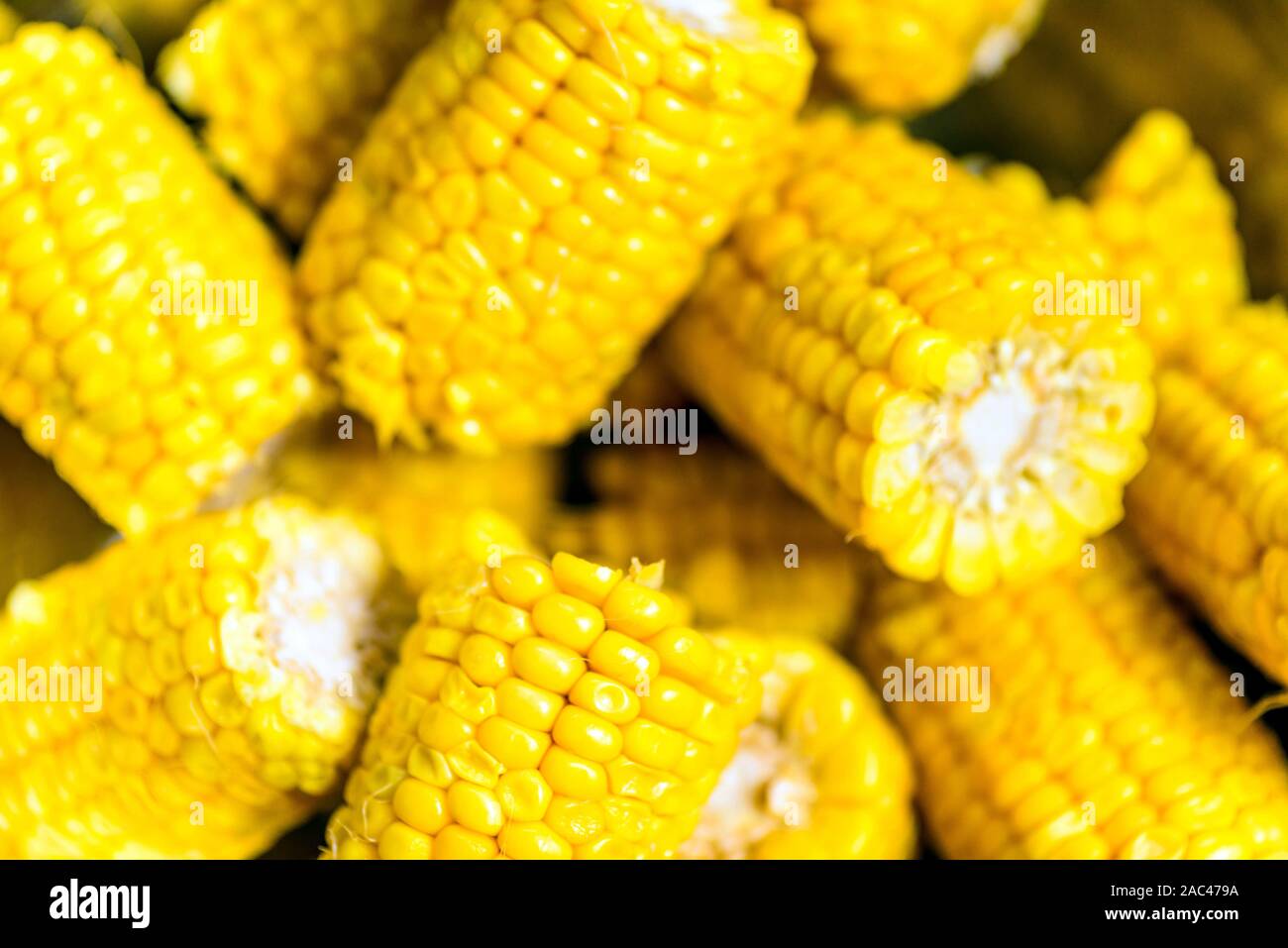 Corn on the cob in a bowl cooked Stock Photo