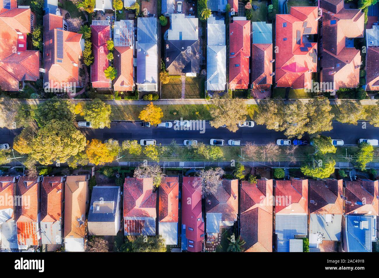 Leafy suburb on Sydney Lower North shore with sky-rocketed real estate property prices - top down aerial view over quiet street between houses with gr Stock Photo