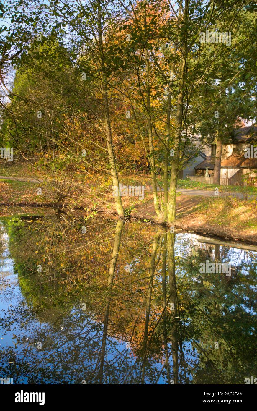 Surrey British Columbia Canada High Resolution Stock Photography and Images Alamy