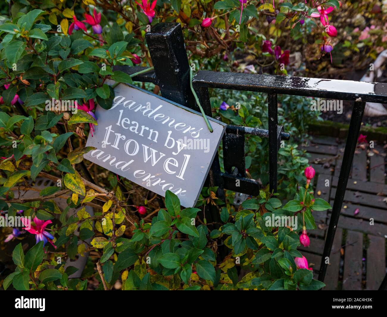 Humorous garden sign ‘Gardeners Learn by Trowel and Error’ against garden railing with flowering bush, Tron Square, Edinburgh, Scotland, UK Stock Photo