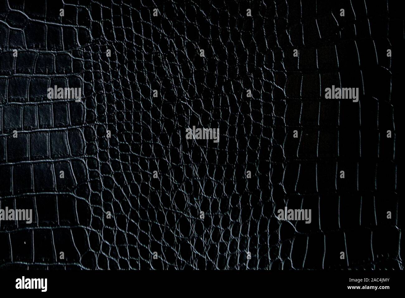 Black crocodile leather texture with for background. Stock Photo