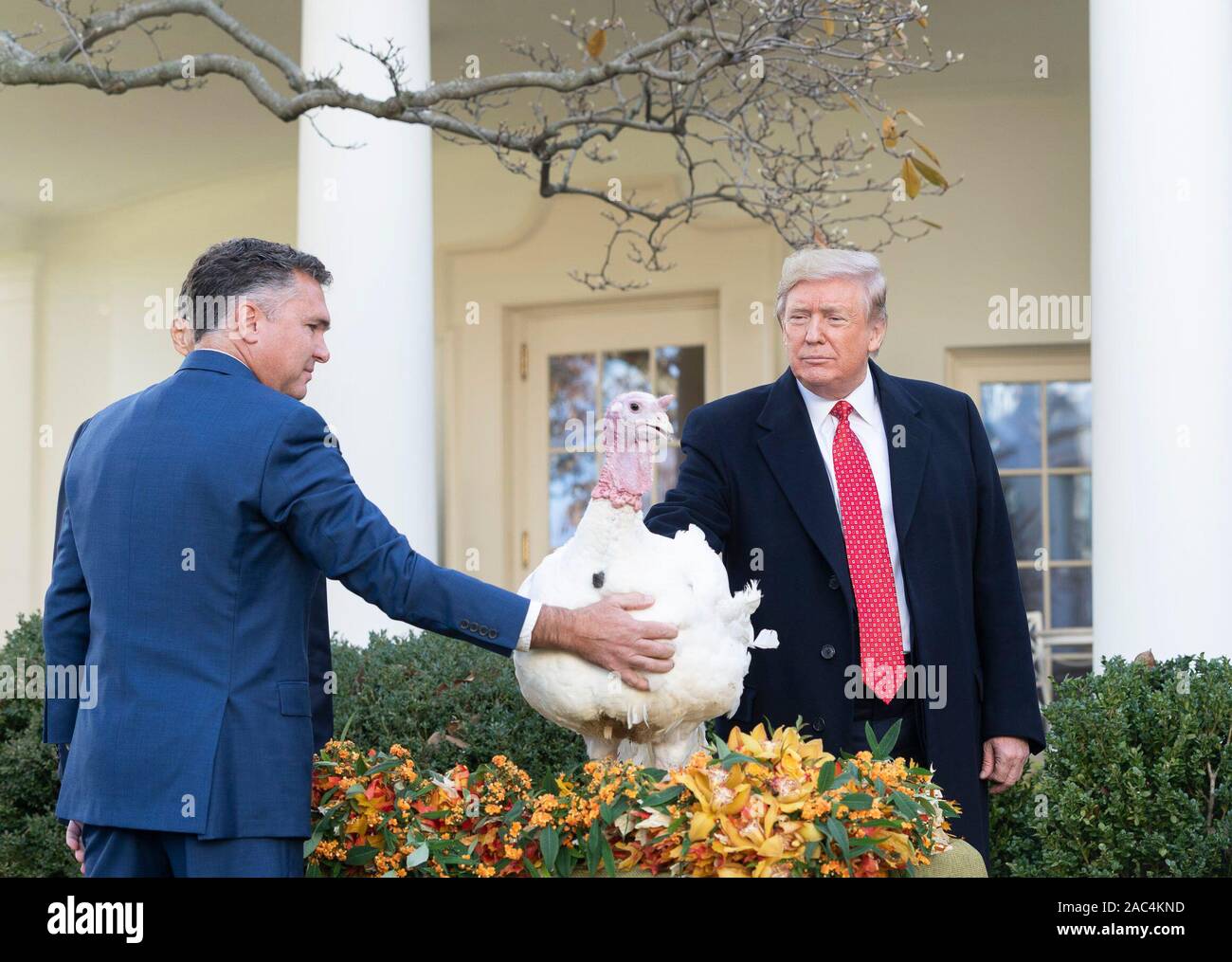 President Donald J. Trump pardons “Butter” the turkey Tuesday, Nov. 26, 2019, in the Rose Garden of the White House. Stock Photo