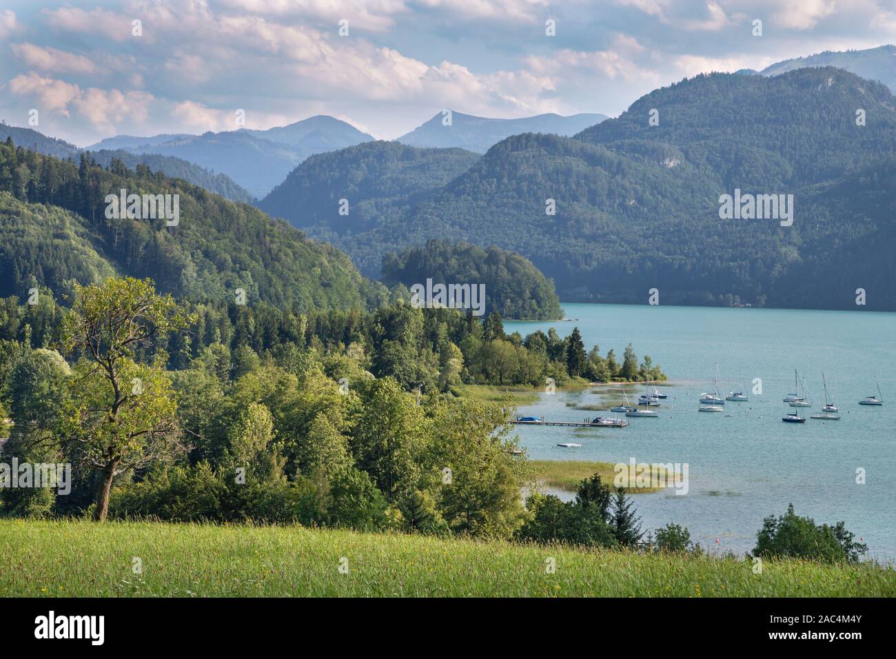 The Alps landscape near the Mondsee lagke. Stock Photo