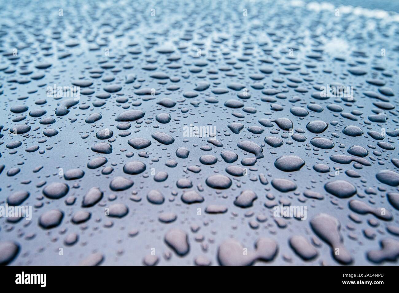 Extreme macro closeup of clean car paint surface with multiple water