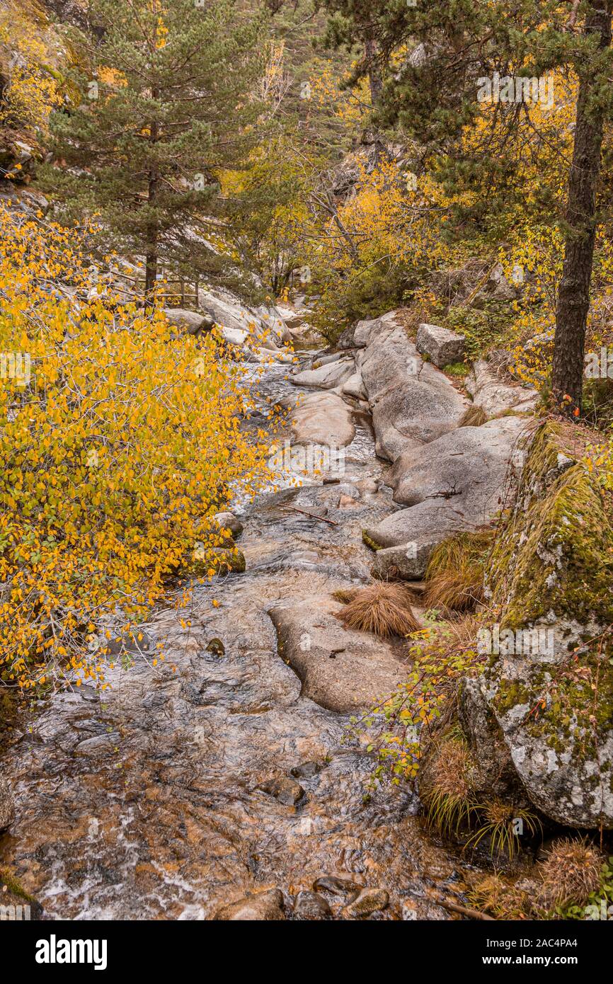Granitic rock channel of the Eresma river surrounded by the Balsain pine forest one autumn day. Province of Segovia Castilla and Leon. Spain. Stock Photo