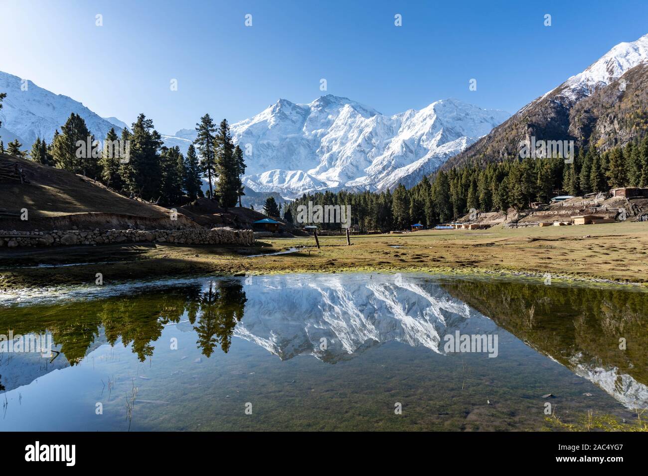 Fairy Meadows, Pakistan Stock Photo