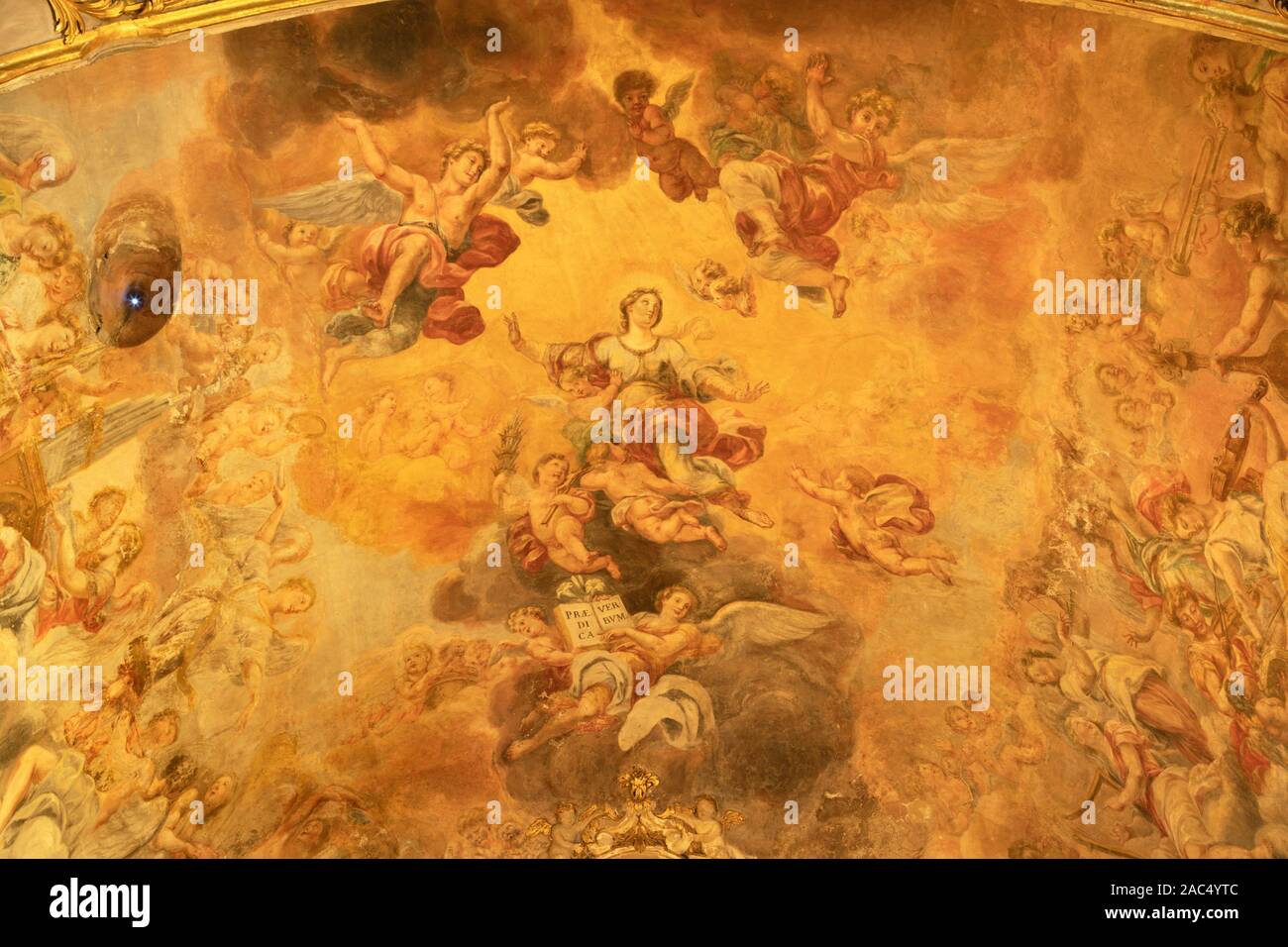 Venera hi-res stock photography and images - Alamy