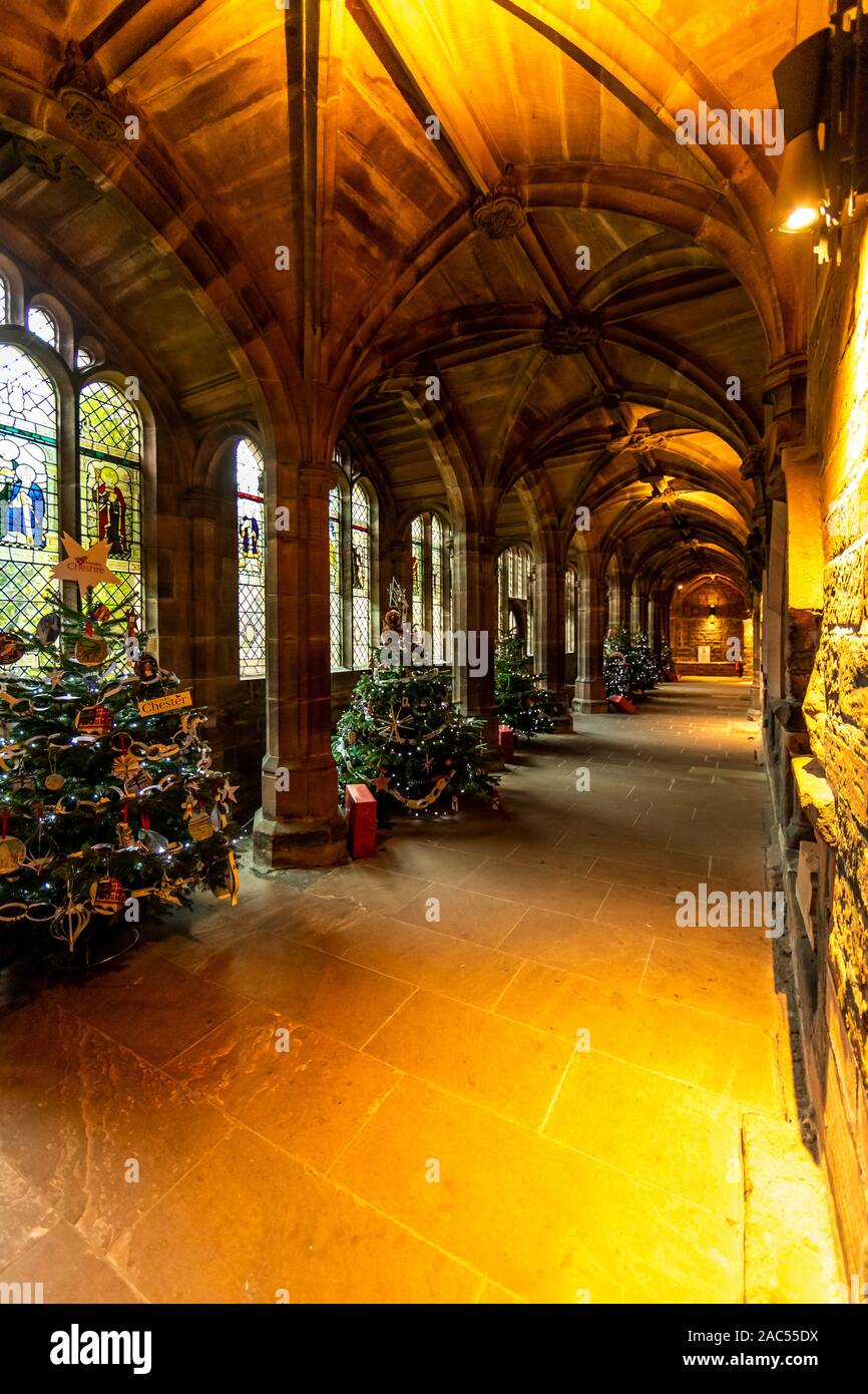 Cloisters And Christmas Trees Chester Cathedral At