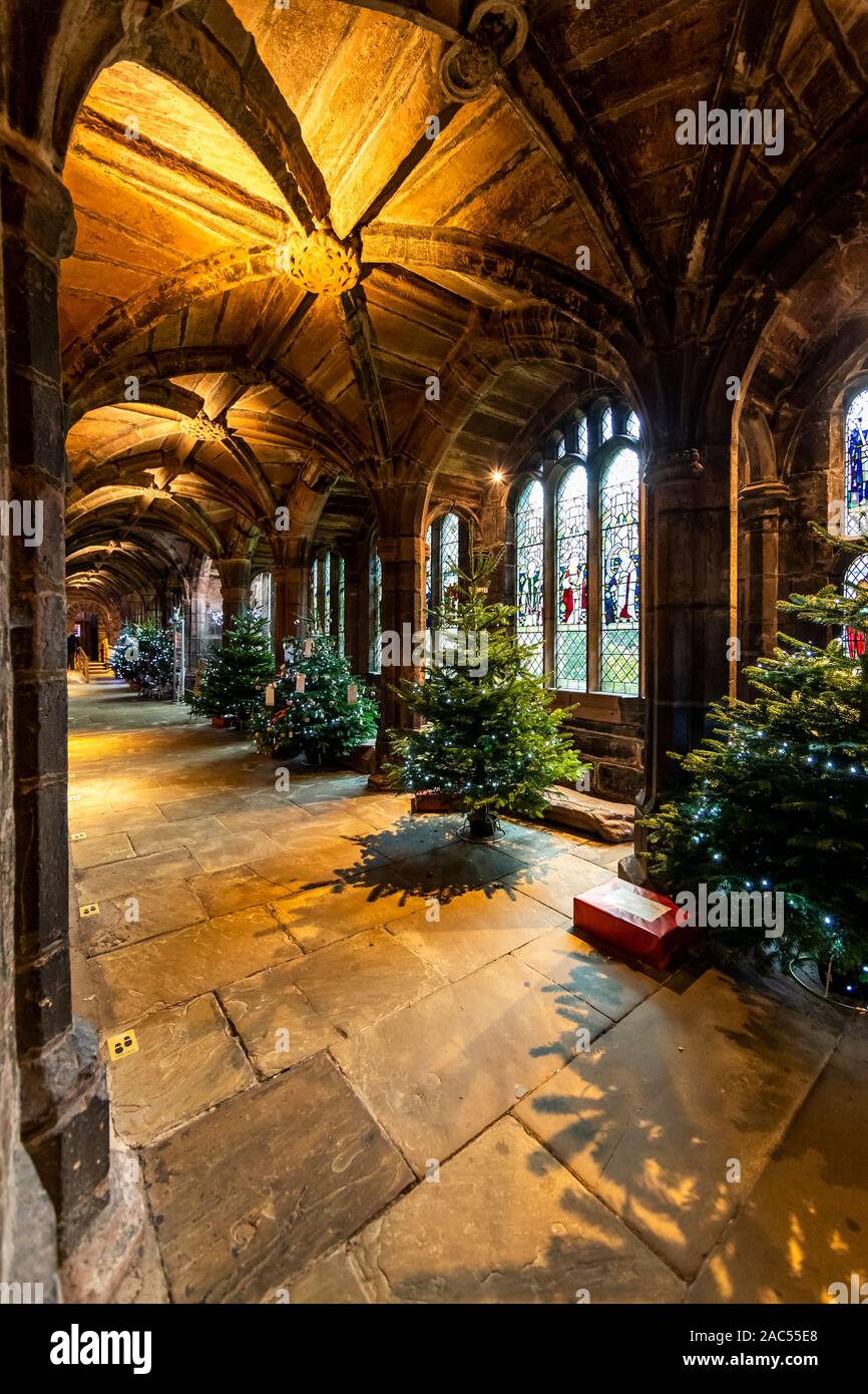 Cloisters And Christmas Trees Chester Cathedral At