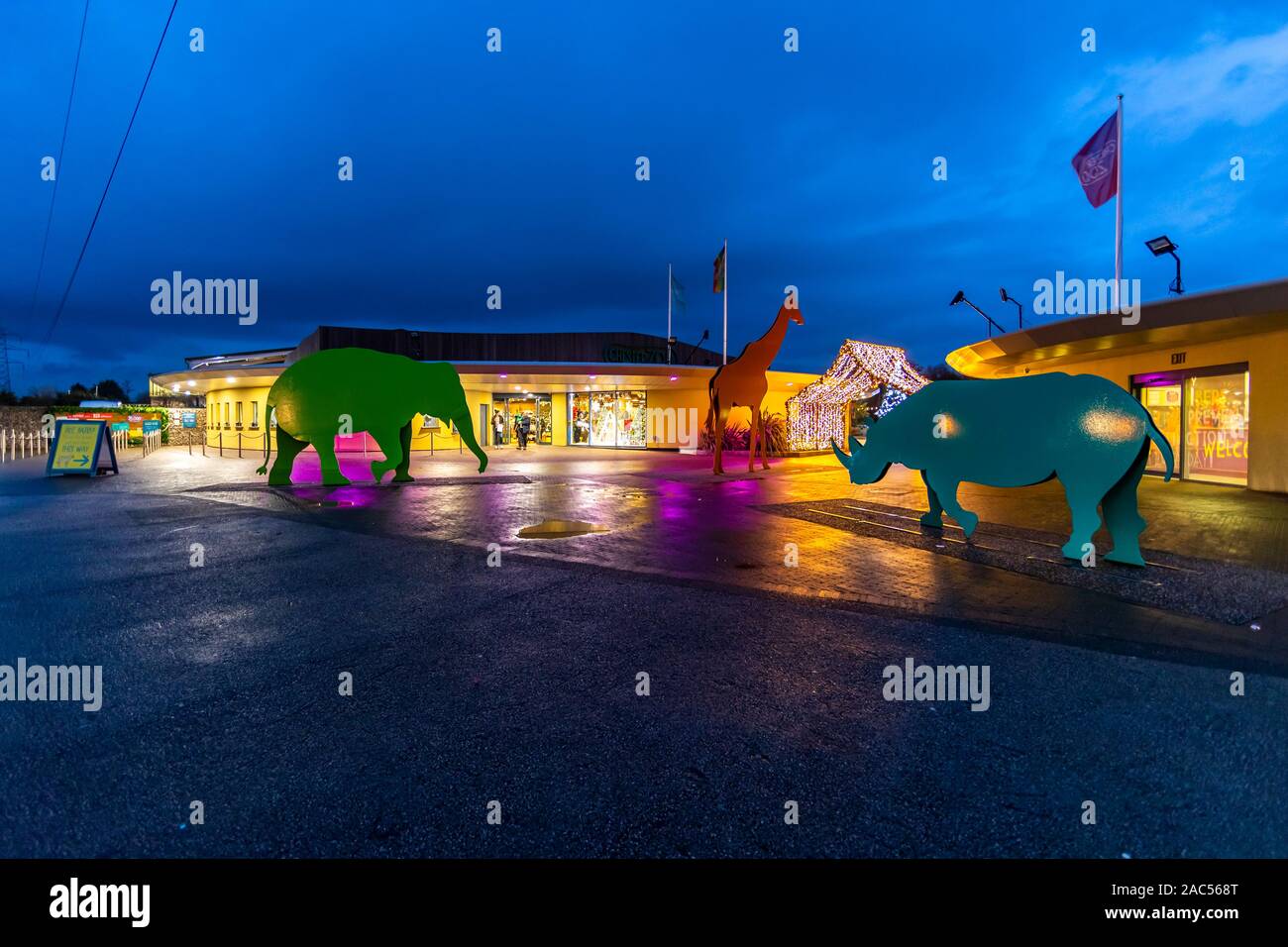 Animal shapes and Christmas decorations. Night time at Chester Zoo, Chester. UK Stock Photo Alamy