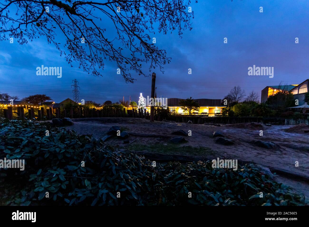 Night time at the Elephant enclosure, Chester Zoo in November, Chester