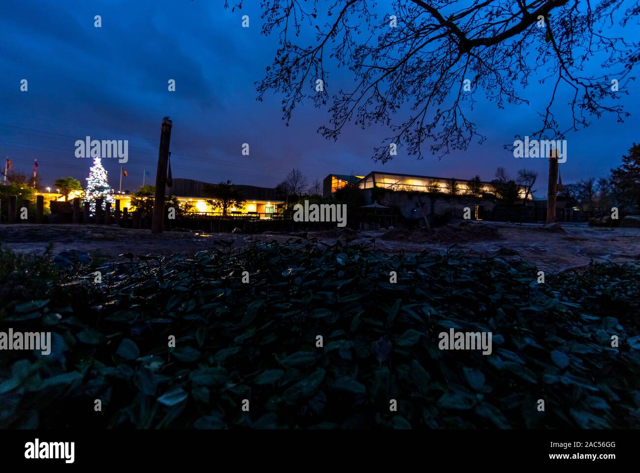 Night time at the Elephant enclosure, Chester Zoo in November, Chester
