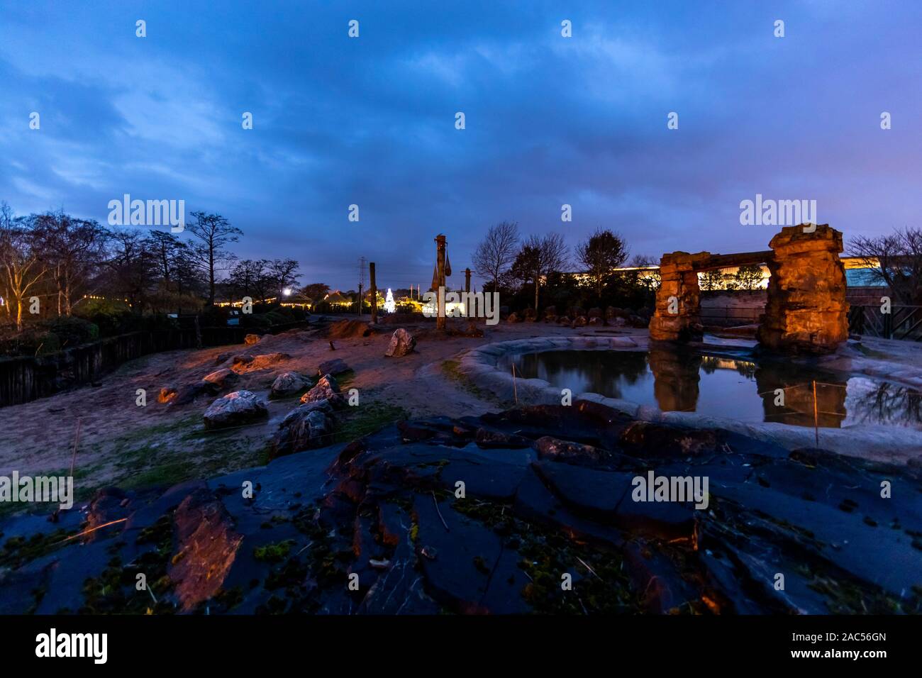 Night time at the Elephant enclosure, Chester Zoo in November, Chester