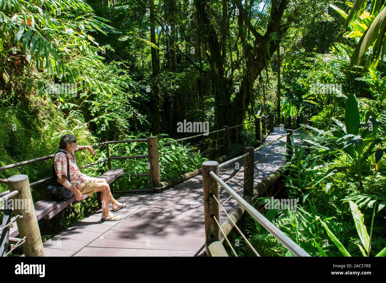 A visitor relaxes in the shade on the boardwalk at Hawaii Tropical Botanical Garden in Papa'ikou near Hilo, Big Island of Hawai'i. Stock Photo