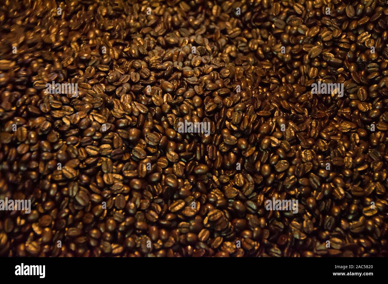 Roasted coffee beans in the process of cooling, Kaleo's Koffee, Pua'a Kea Farm, Pa'auilo, Hamakua Coast, Big Island. Stock Photo