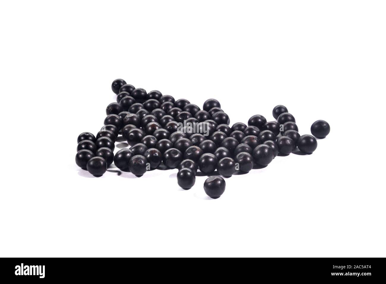 Black Onyx Garden Flower Seeds are hard seeds laid on a white background. Stock Photo