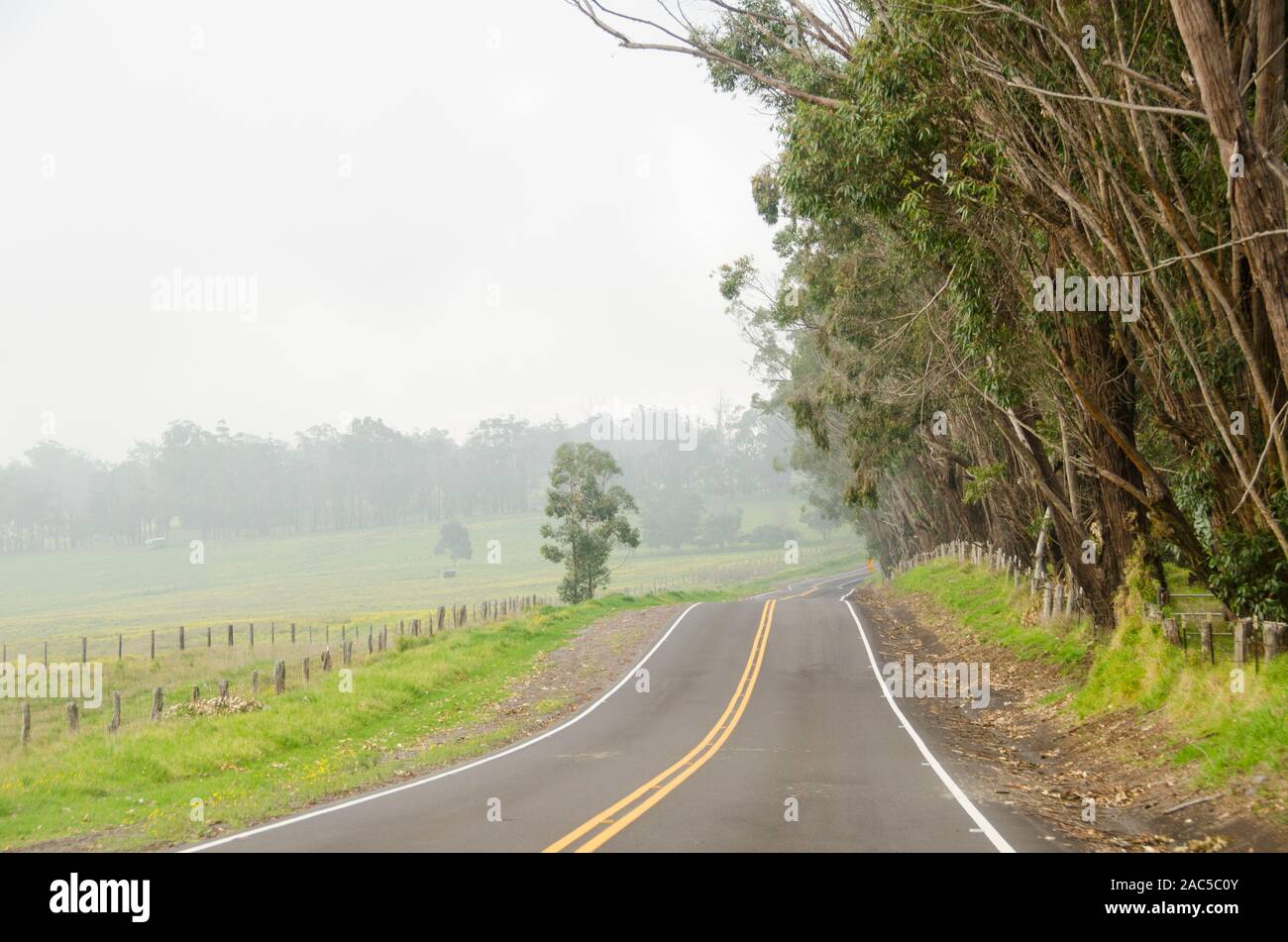 Winding, misty Saddle Road on the Big Island. Stock Photo