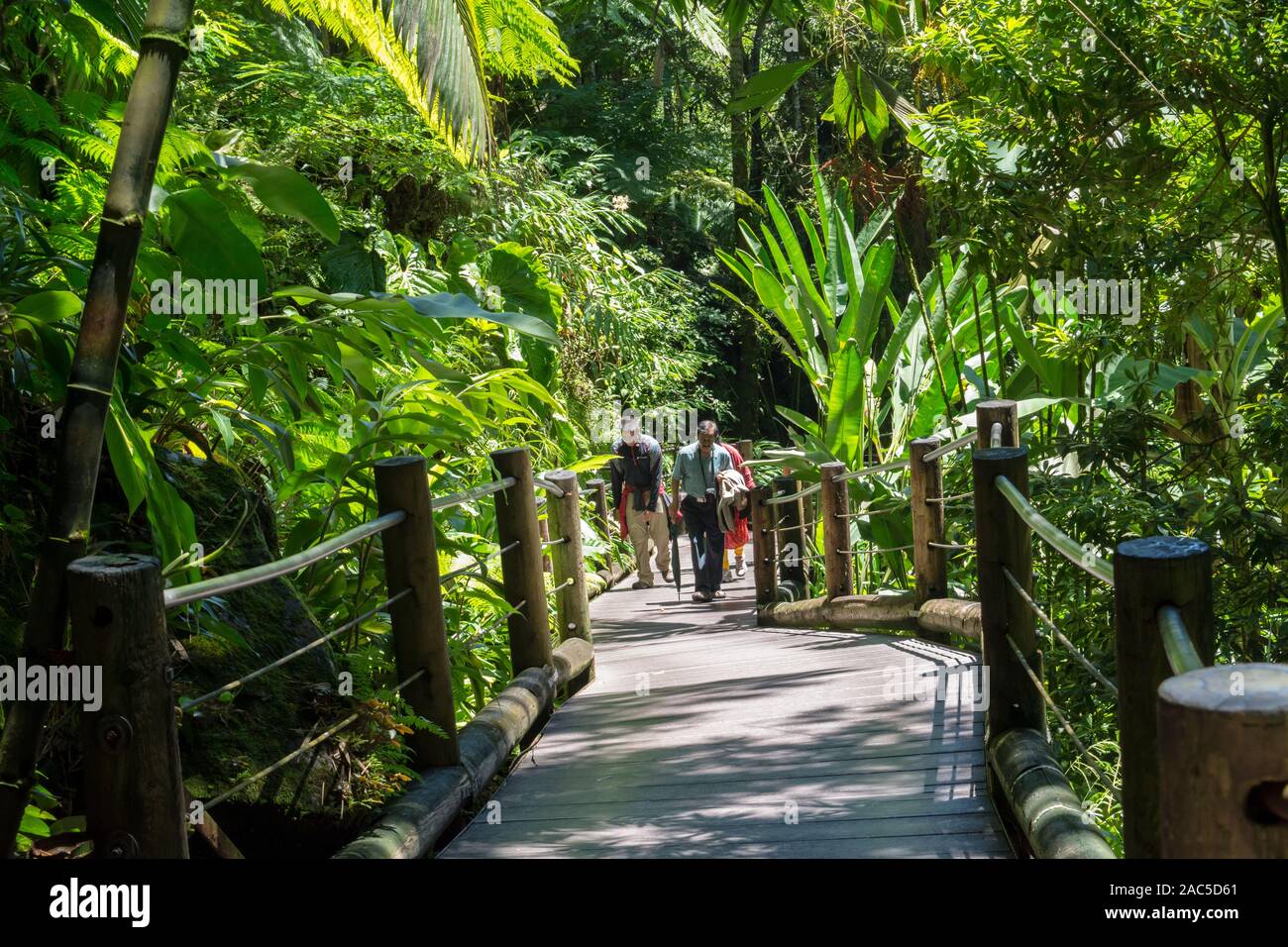 Visitors on the boardwalk at Hawaii Tropical Botanical Garden in Papa'ikou near Hilo, Big Island of Hawai'i. Stock Photo