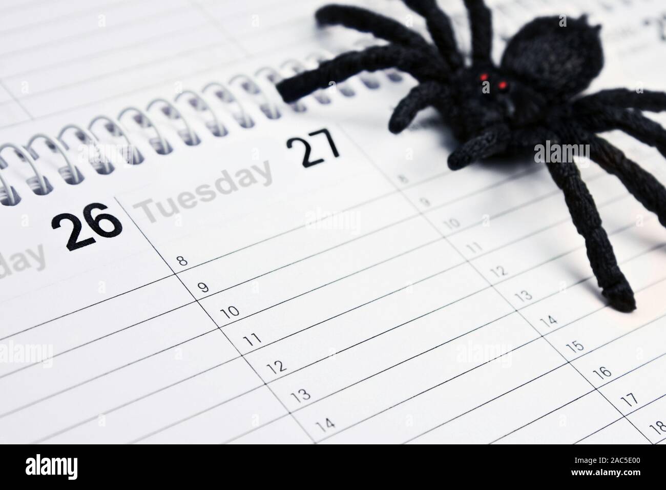 Phobia of spiders and calendar with plastic spider Stock Photo