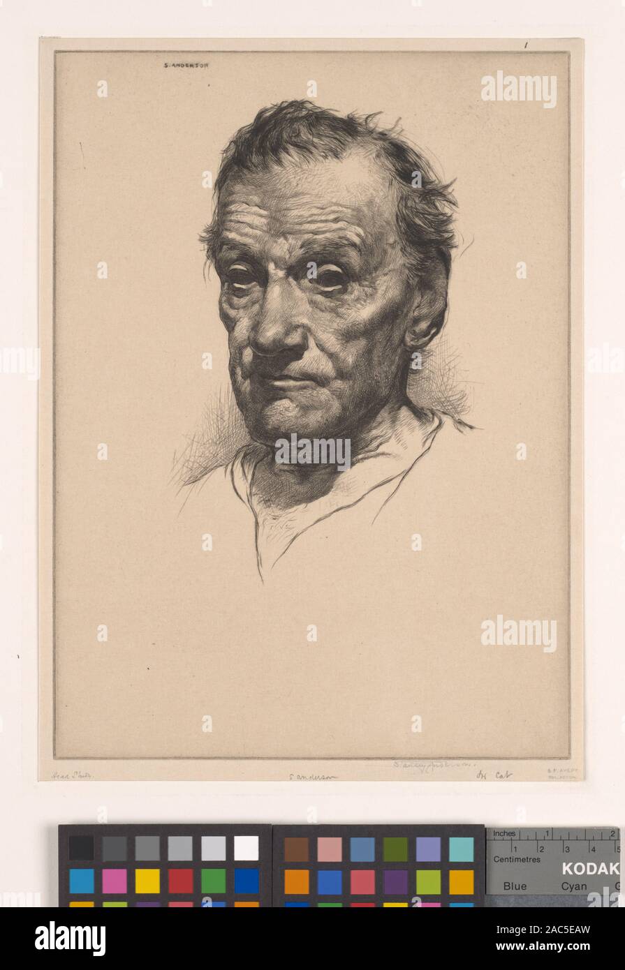 Head Study Head Study Head Study Stock Photo Alamy