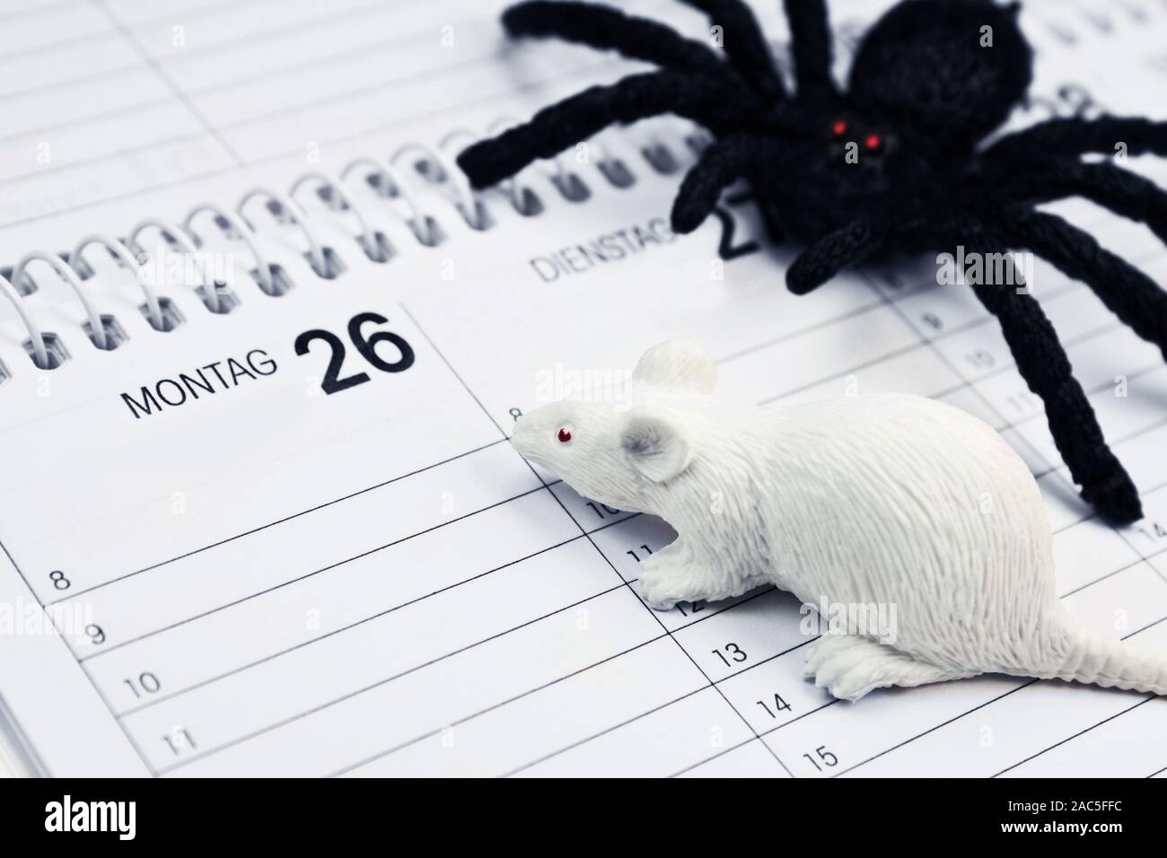 Phobia and symbolic plastic spider and mouse on German calendar Stock Photo