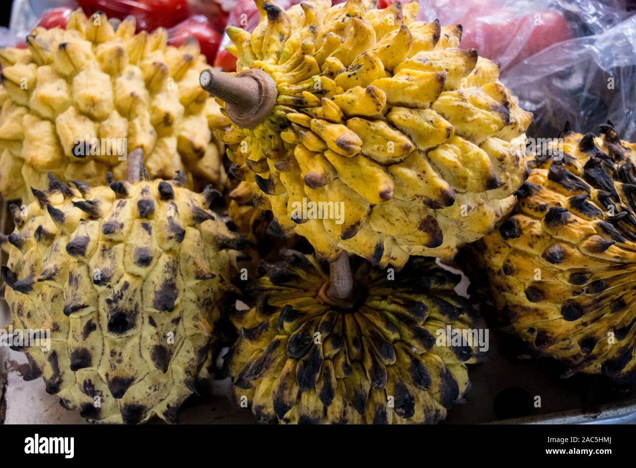A close-up of durian, a local exotic fruit, Hilo Farmers Market, Big Island of Hawai'i. Stock Photo