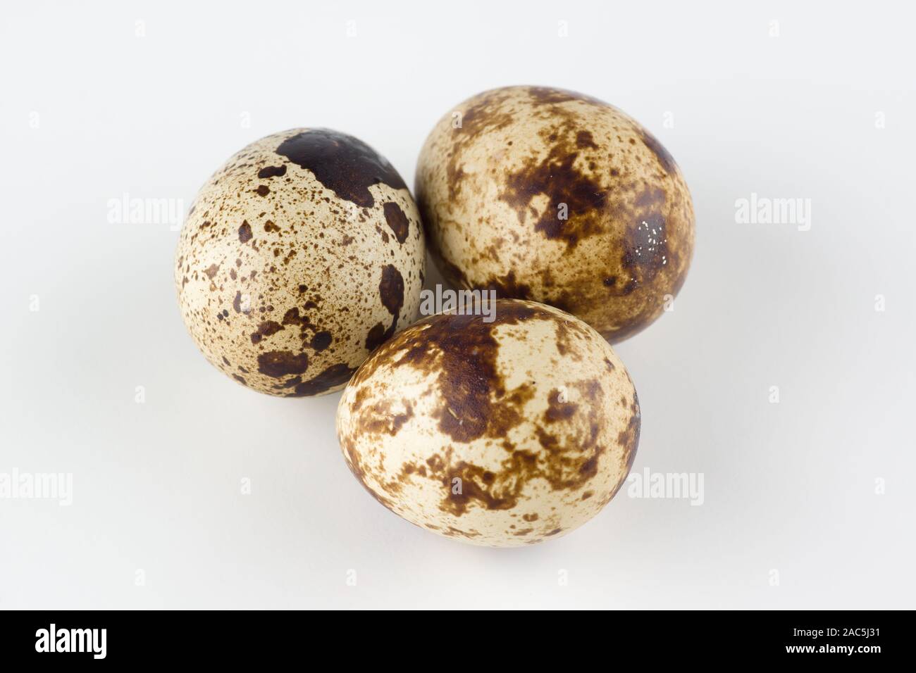 many quail eggs isolated on white background Stock Photo Alamy