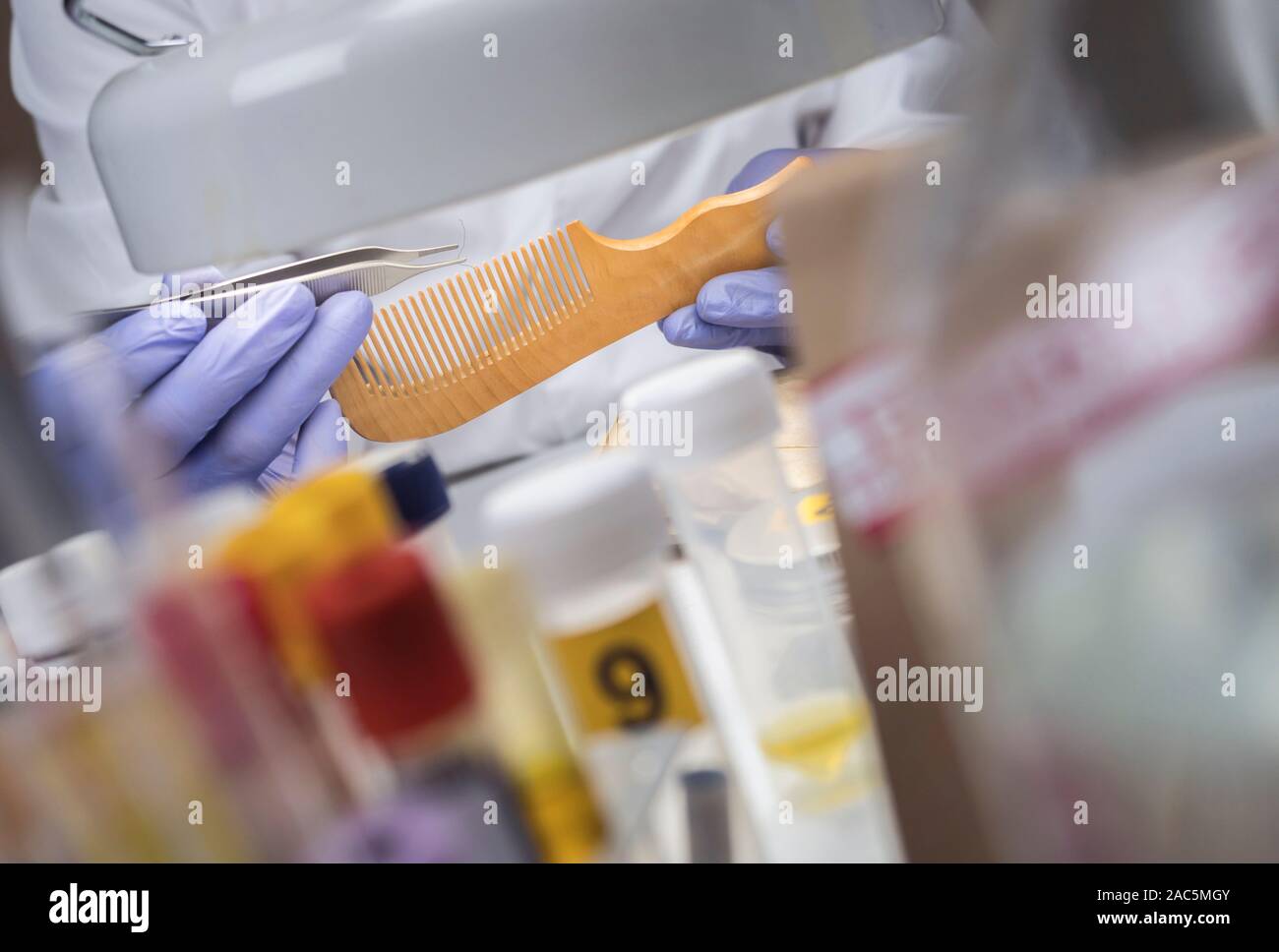 Scientist Police hold murder victim comb to find dna in crime lab, concept image Stock Photo