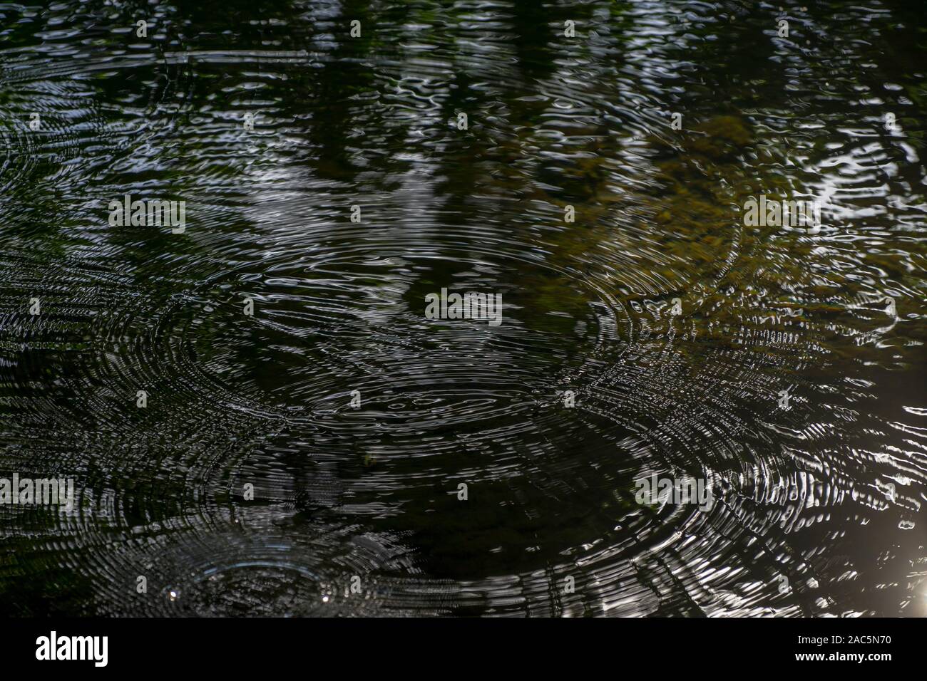 Reflections with rippling circles in the ponds at Carlsmith Beach Park in Hilo, Big Island of Hawai'i. Stock Photo