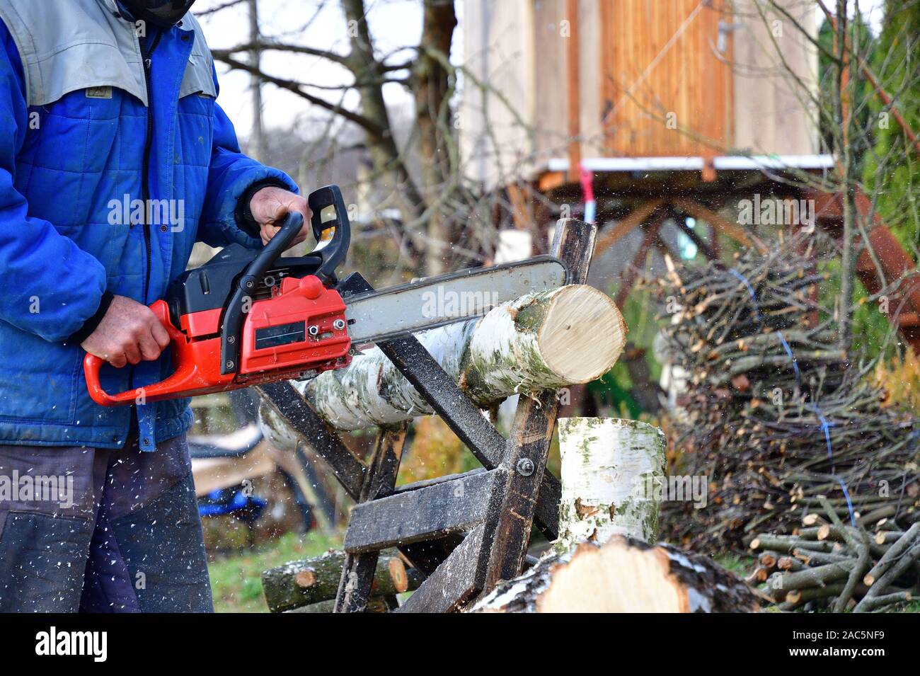 Sawing wood with chainsaw with safety glasses and helmet in the garden ...