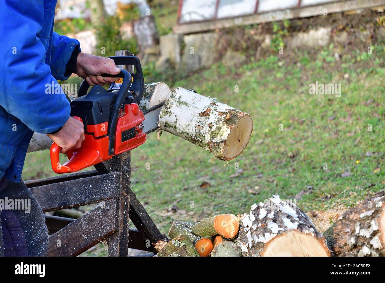Sawing wood with chainsaw with safety glasses and helmet in the garden ...