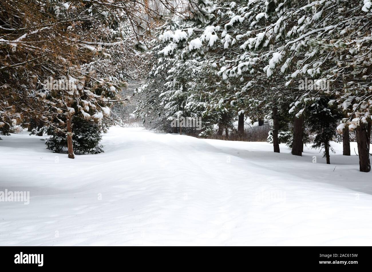 Snowfall alley hi-res stock photography and images - Alamy