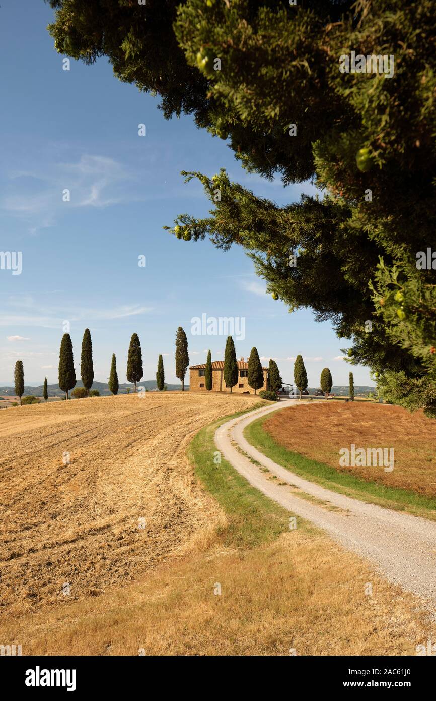 A summer holiday home farmhouse in the Tuscan landscape with cypress trees near Pienza Tuscany Italy Europe Stock Photo