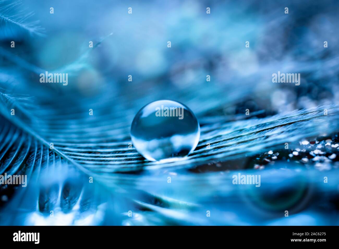 Beautiful transparent water drops or rain water on soft background. Macrophotography. Desktop background. Selective focus. Stock Photo