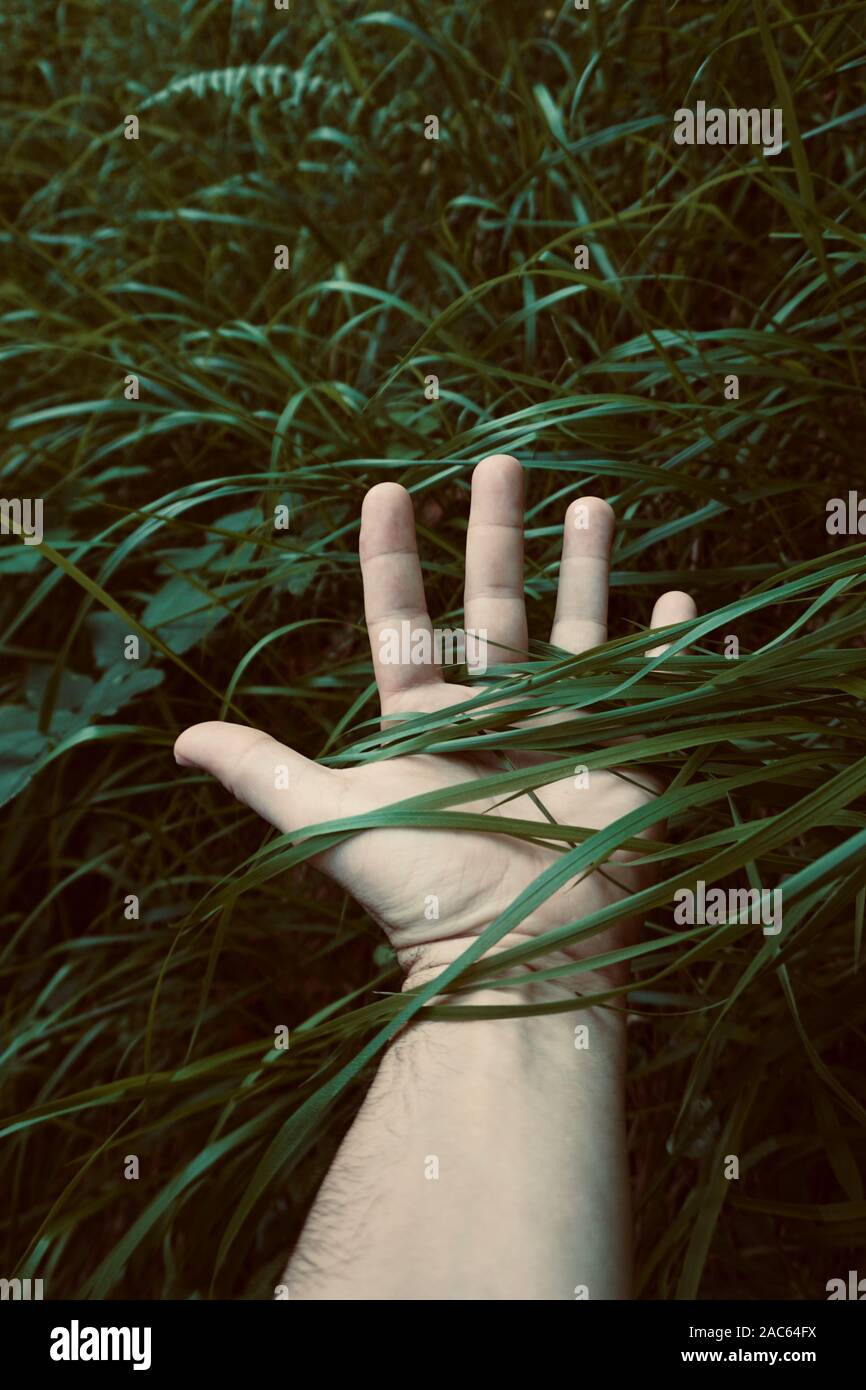 man hand touching green plants feeling the nature Stock Photo Alamy