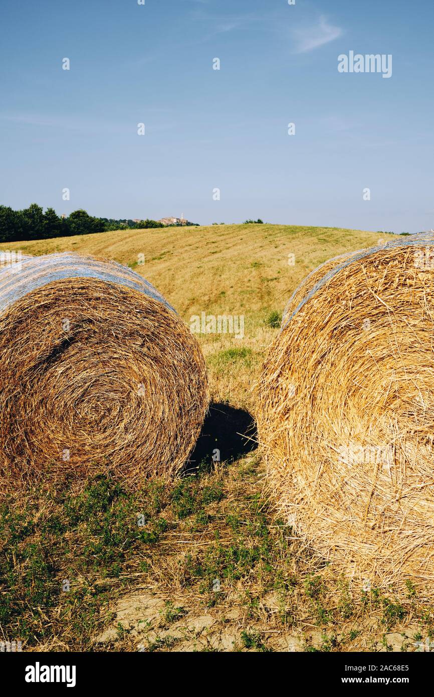 Hay bales in the rural summer arable farmland countryside landscape of the Val d'Orcia near Pienza Tuscany Italy Europe Stock Photo