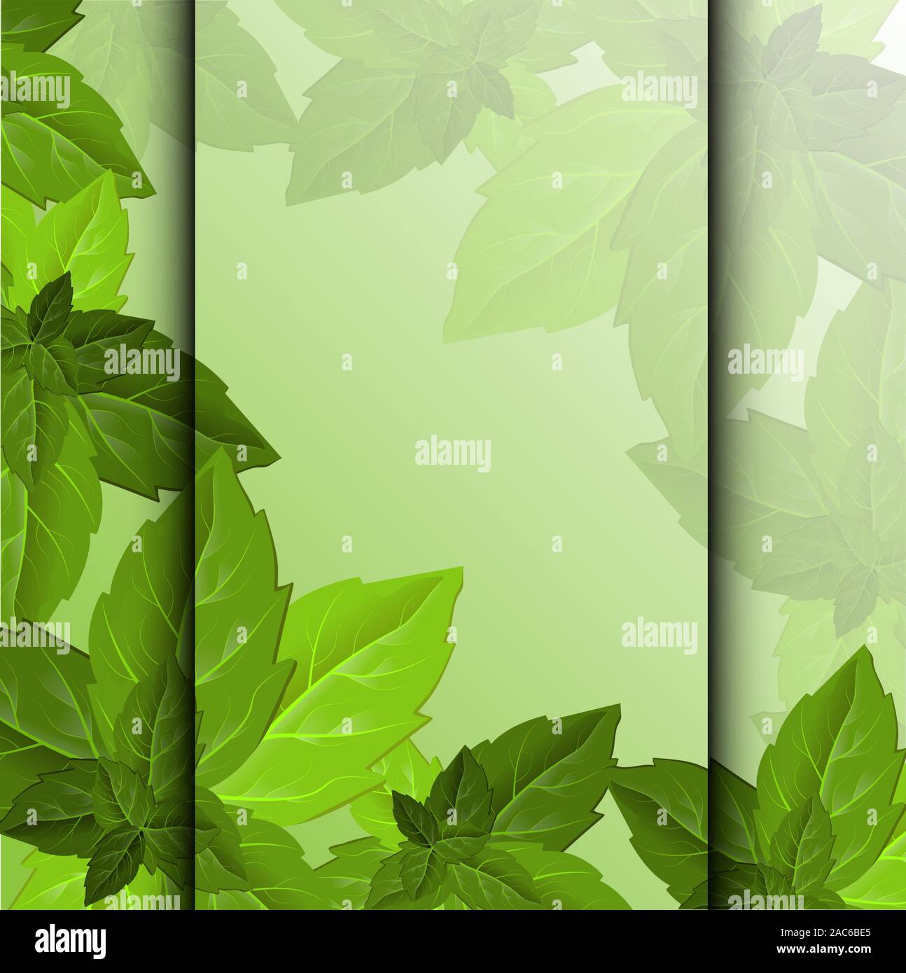 Forest foliage. Leaf texture. Green leaves frame template. Beautiful  abstract design template with green leaves on background for decorative  design Stock Vector Image & Art - Alamy