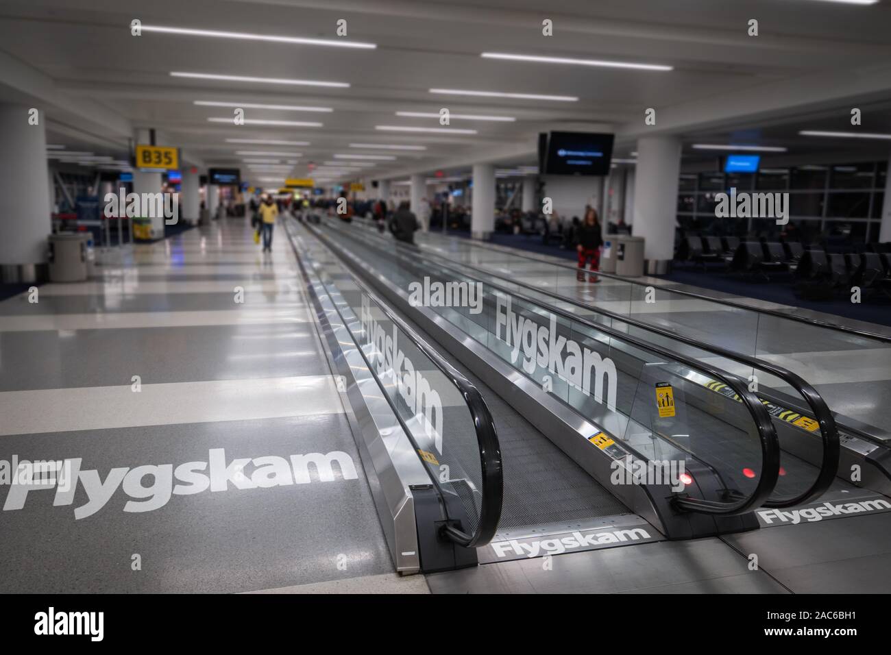 Essay on shame quot shame and miss brill image