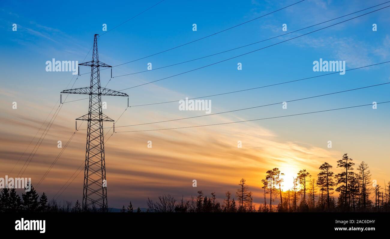 Silhouette of power lines at sunset in a forest area Stock Photo