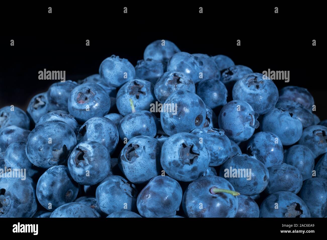 Close up of Bog bilberry, bog blueberry, northern bilberry or western blueberry (Vaccinium uliginosum) on black background. Stock Photo