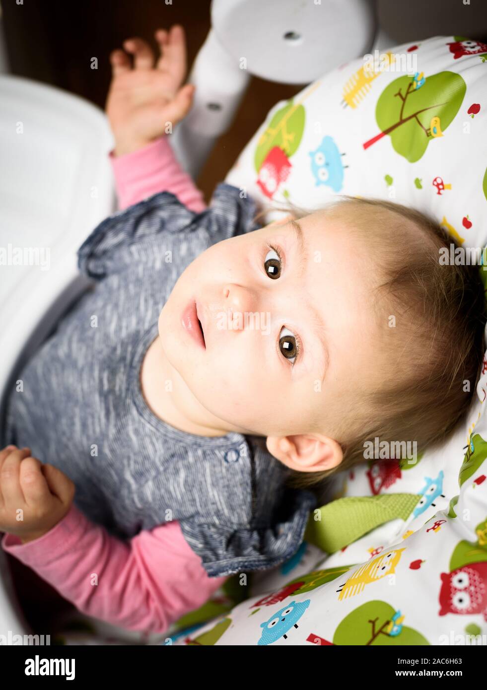 baby chair for living room