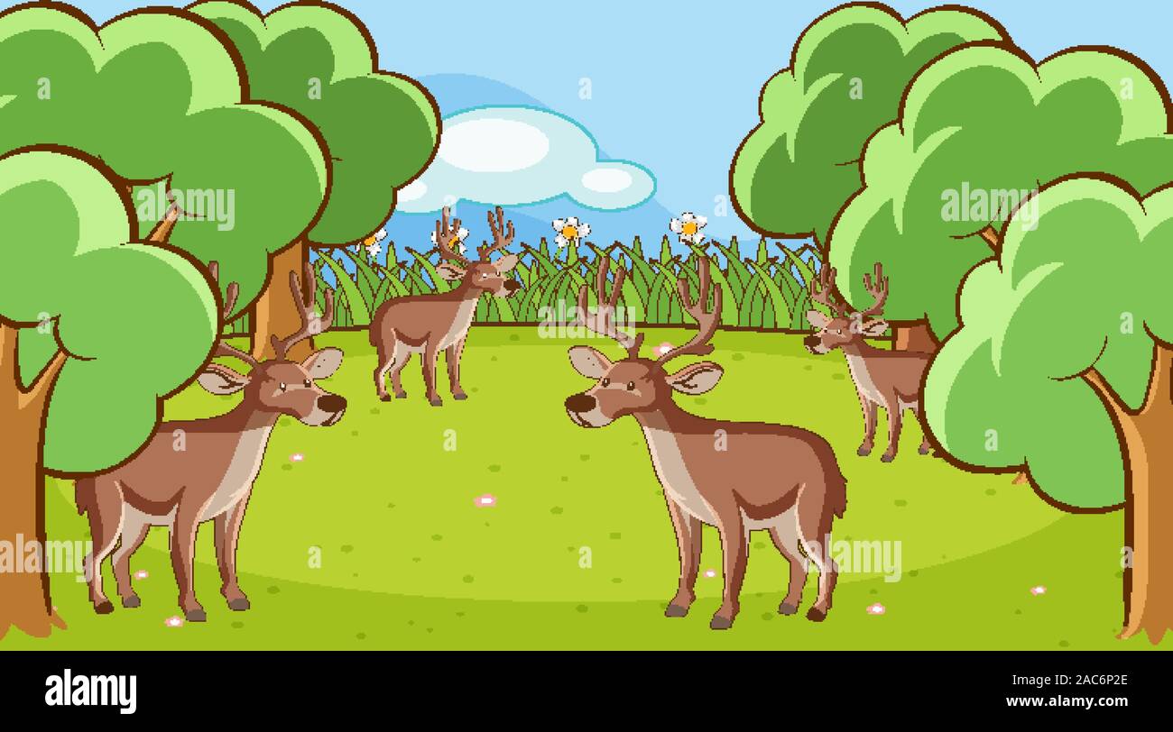 Scene with many deers in the forest illustration Stock Vector Image ...
