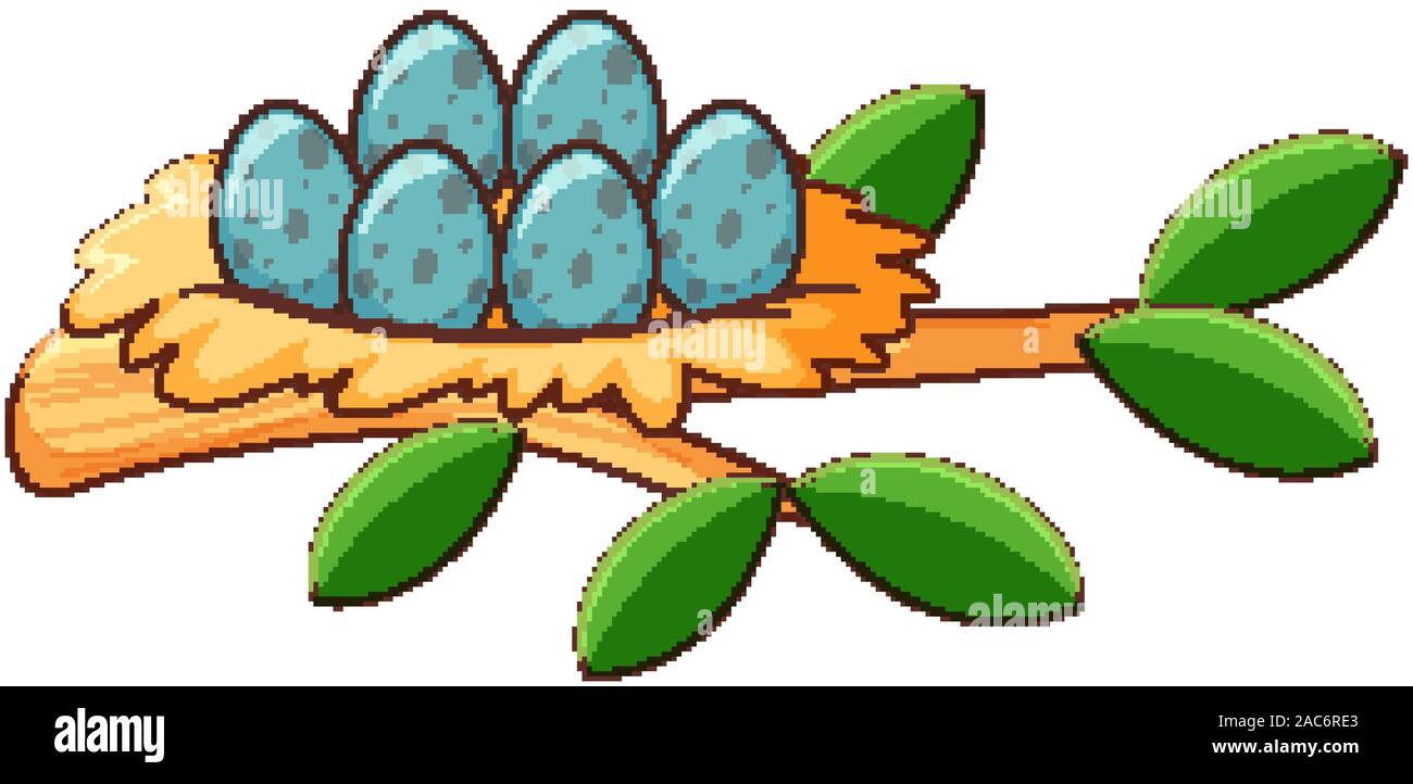 Eggs in nest on white background illustration Stock Vector Image & Art ...