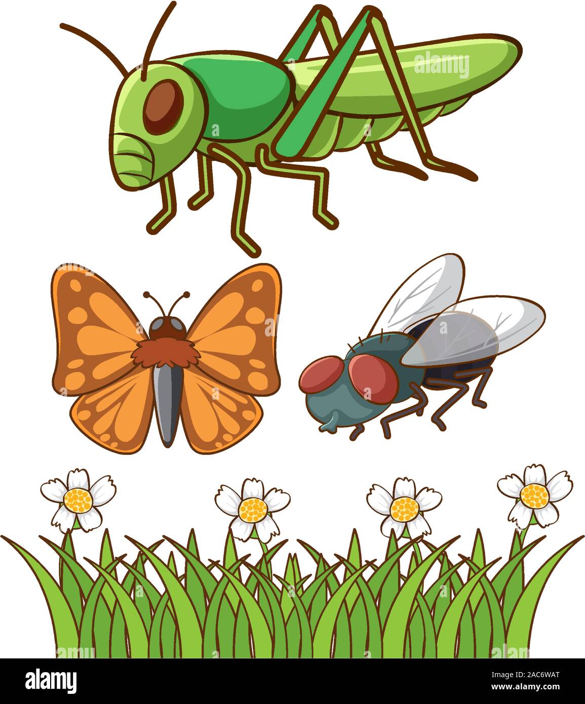 Isolated picture of different insects illustration Stock Vector Image ...