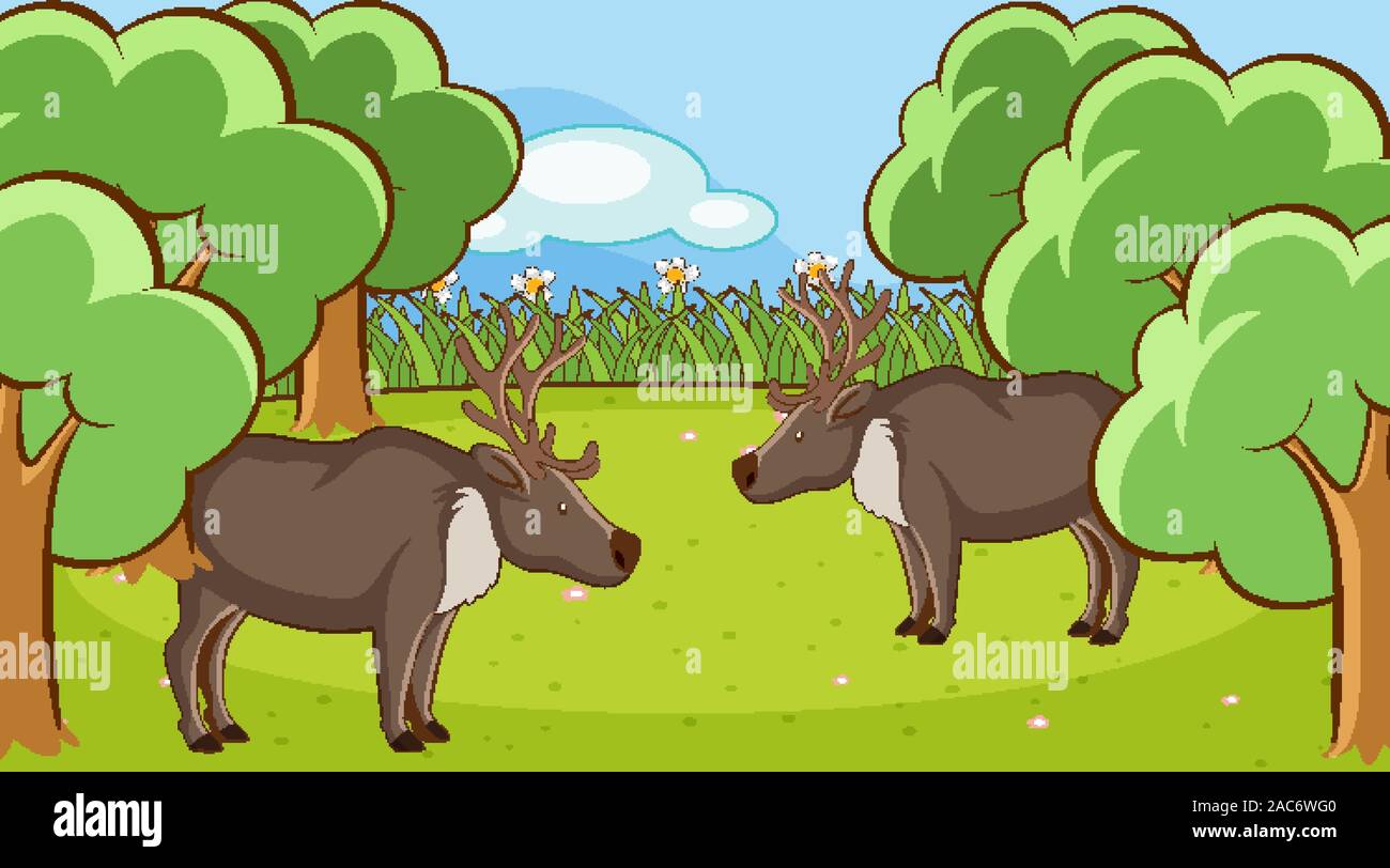 Scene with deers in the forest illustration Stock Vector Image & Art ...