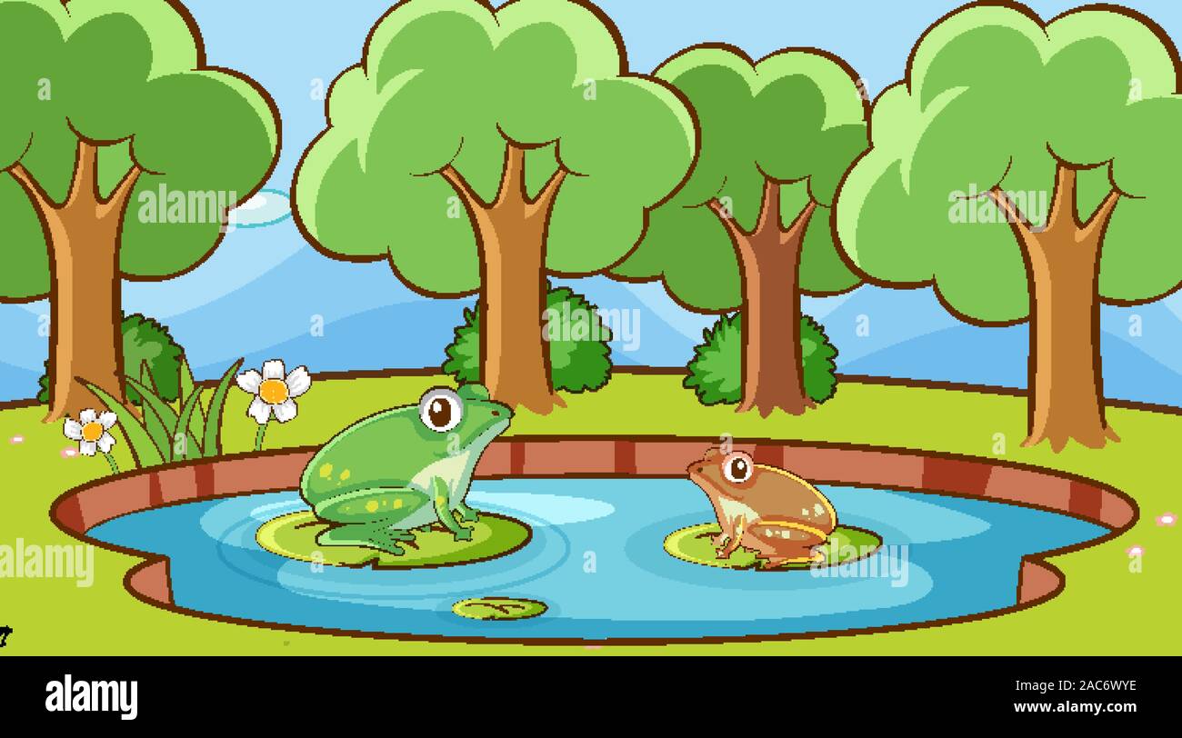 Scene with two frogs in the forest illustration Stock Vector Image ...