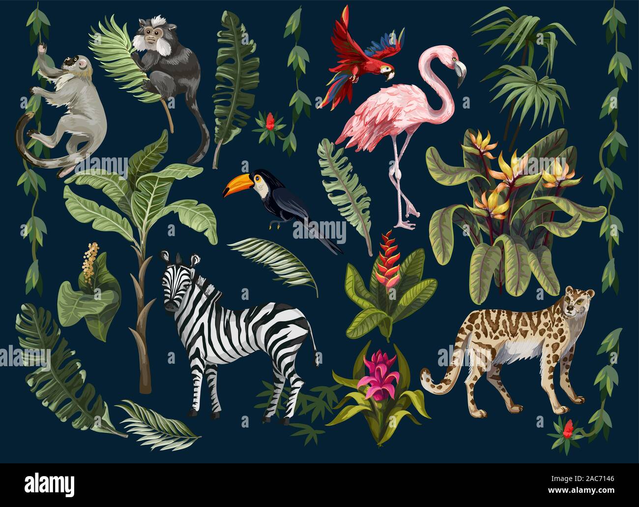Jungle animals, flowers and trees isolated. Vector Stock Vector Image ...